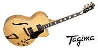 Tagima Guitars / JAZZ 1900 NT DF BK