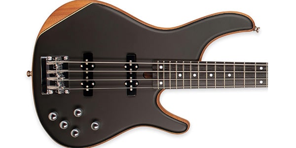 Tagima Guitars / MILLENIUM TOP 4 NATURAL画像2