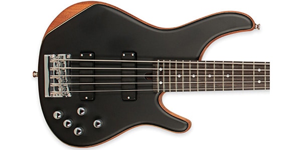 Tagima Guitars / MILLENIUM TOP 5 NATURAL画像2