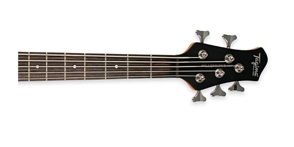 Tagima Guitars / MILLENIUM TOP 5 NATURAL画像3