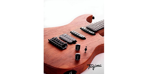 Tagima Guitars / STELLA NTM NTS/DF画像4