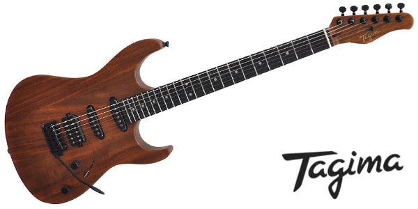 Tagima Guitars ( タジマギターズ ) STELLA NTM NTS/DF 送料無料