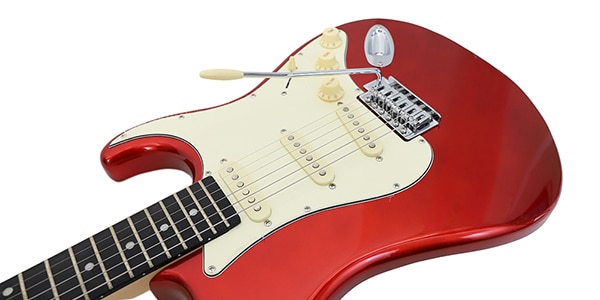 Tagima Guitars ( タジマギターズ ) / TG-500 CA DF AWH画像3