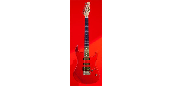 Tagima Guitars ( タジマギターズ )  / TG-510 CA/DF画像2
