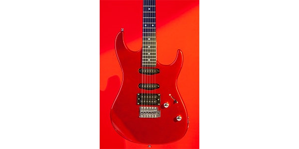 Tagima Guitars ( タジマギターズ )  / TG-510 CA/DF画像3