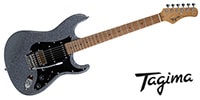 Tagima Guitars / TG-580 SPARKLE GRYSP LF AWH