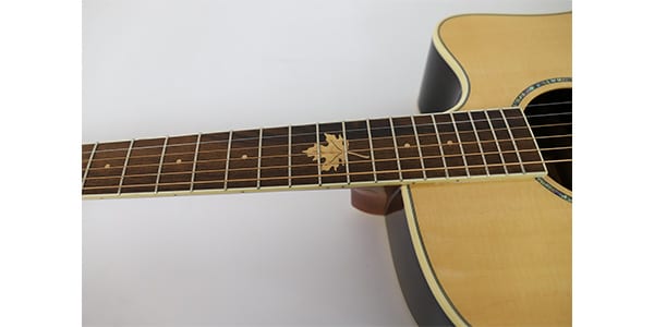 【初回限定】 タジマギターズ ( Guitars Tagima ) 送料 Natural EQ VANCOUVER ギター