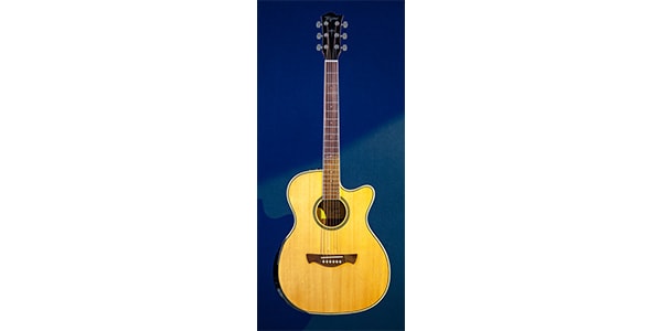 Tagima Guitars ( タジマギターズ )  / WS-35 EQ Natural画像2