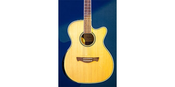Tagima Guitars ( タジマギターズ )  / WS-35 EQ Natural画像3