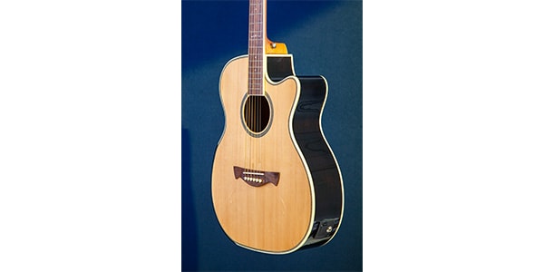 Tagima Guitars ( タジマギターズ )  / WS-35 EQ Natural画像4