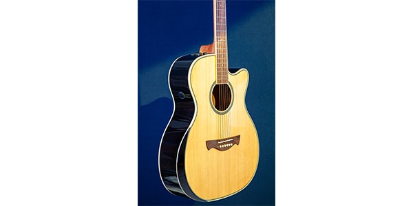 Tagima Guitars ( タジマギターズ )  / WS-35 EQ Natural画像5