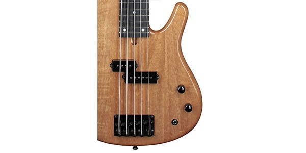 Tagima Guitars ( タジマギターズ )  / XB-21 5 DF NATURAL画像3