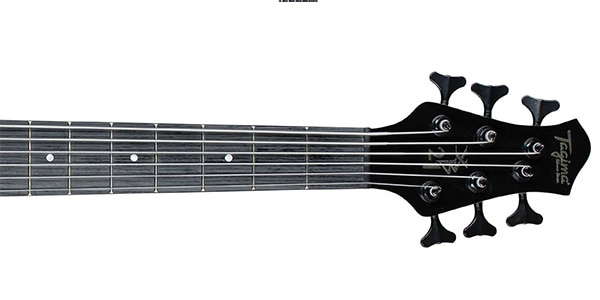 Tagima Guitars / XB-21 6 DF NATURAL画像4