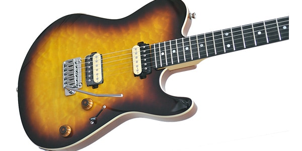 Tagima Guitars ( タジマギターズ )  / GRACE 700画像2