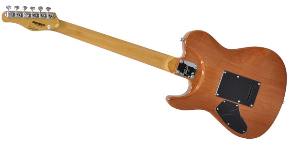 Tagima Guitars ( タジマギターズ )  / GRACE 700画像4