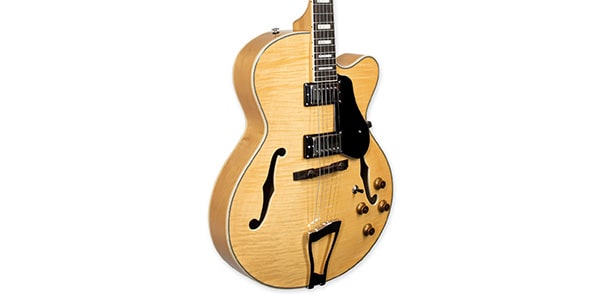Tagima Guitars / JAZZ 1900 NT DF BK画像3