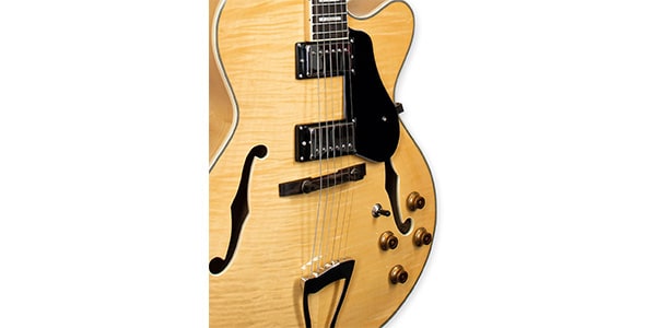 Tagima Guitars / JAZZ 1900 NT DF BK画像4