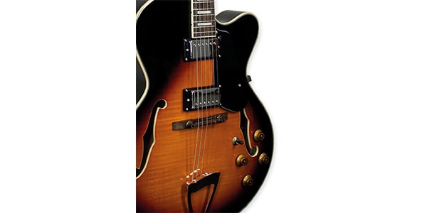 Tagima Guitars / JAZZ 1900 VSB DF BK画像4