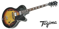 Tagima Guitars / JAZZ 1900 VSB DF BK