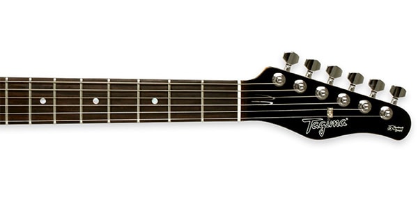 Tagima Guitars / ME NEW BLUES FMB DF N/A画像3