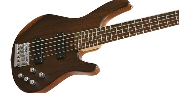 Tagima Guitars ( タジマギターズ ) / MILLENIUM TOP 5 NATURAL画像2