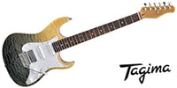 Tagima Guitars / STELLA DW TRANSPARENT FADE BLACK