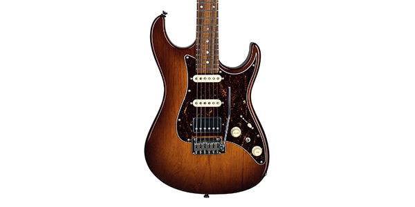 Tagima Guitars / STELLA HB DF TT画像2