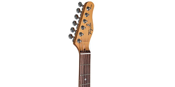 Tagima Guitars / STELLA OASIS TCBLB DF PW画像3