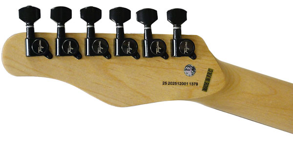 Tagima Guitars ( タジマギターズ ) / TG-510 BK DF N/A画像6