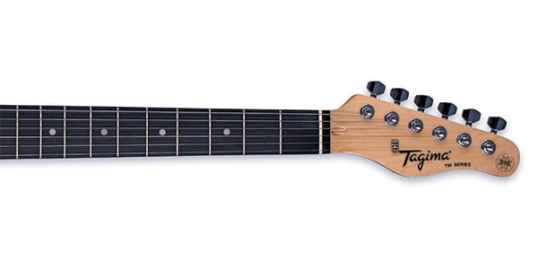 Tagima Guitars / TG-510 MGY DF N/A画像3