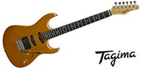 Tagima Guitars / TG-510 MGY DF N/A