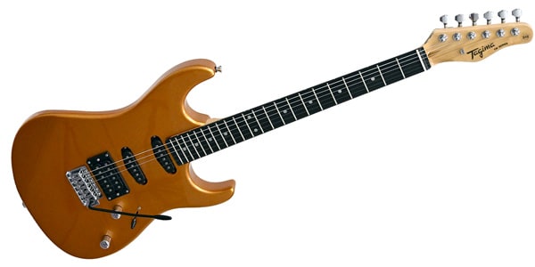 Tagima Guitars ( タジマギターズ ) / TG-510 MGY DF N/A画像3