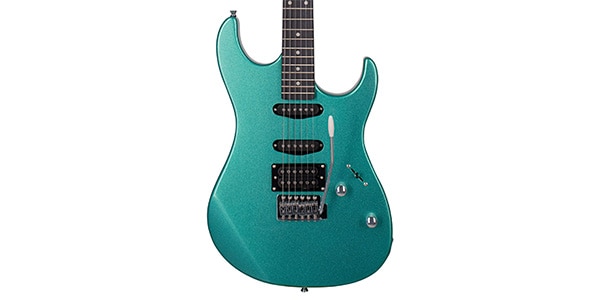 Tagima Guitars / TG-510 MSG DF N/A画像2