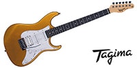 Tagima Guitars / TG-520 MGY DF PW