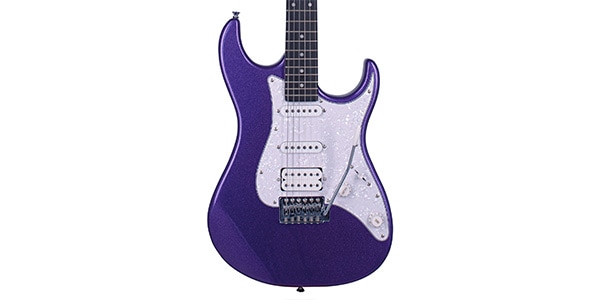 Tagima Guitars / TG-520 MPP DF PW画像2