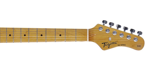 Tagima Guitars / TG-530 SB LF TT画像3