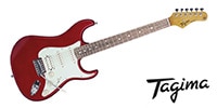 Tagima Guitars / TG-540 MR DF AWH