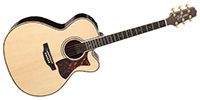 TAKAMINE DMP000 Natural