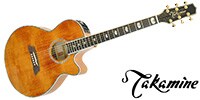 TAKAMINE DMP100 Vintage Natural