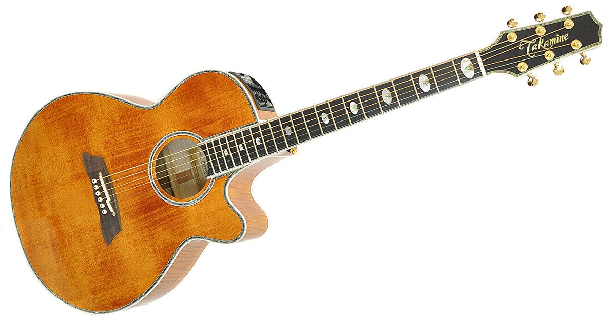 TAKAMINE/DMP100 Vintage Natural