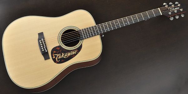 TAKAMINE/DMP281-DC N