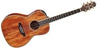 TAKAMINE DMP400 Natural