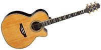 TAKAMINE DMP500 Vintage Natural