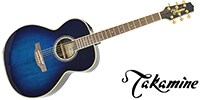 TAKAMINE DMP541 DBS