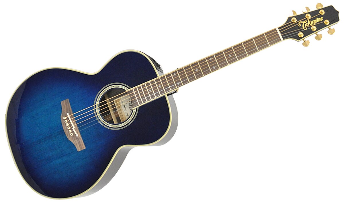 TAKAMINE/DMP541 DBS