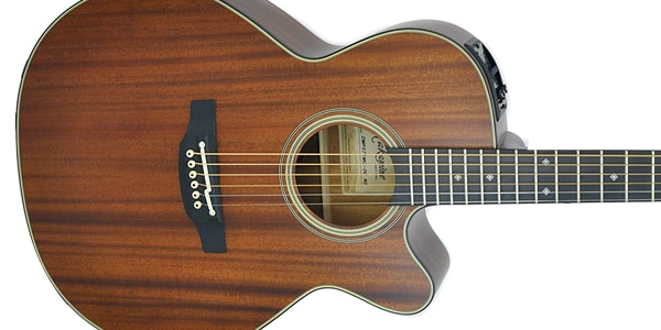 TAKAMINE / DMP571MC-DC NS画像2
