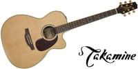 TAKAMINE DMP761C N