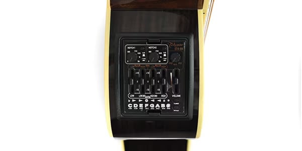 TAKAMINE ( タカミネ ) DMP761C TB 送料無料 | サウンドハウス