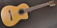 TAKAMINE EC132SC