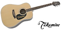 TAKAMINE EF360GF N